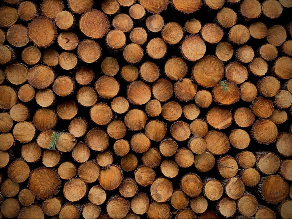 Empilement serré de rondins de bois scié, révélant la texture des cernes bruns. Rares aiguilles vertes. Matière première forestière.